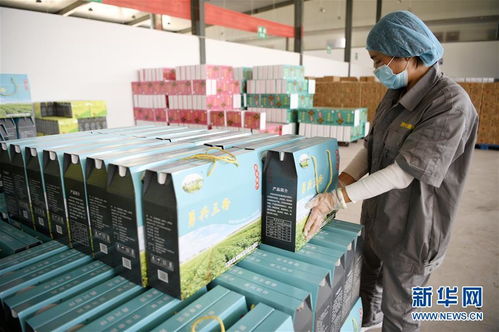 數(shù)字橋梁連山海 閩寧攜手以信息技術(shù)咨詢服務(wù)賦能產(chǎn)業(yè)園區(qū)脫貧振興